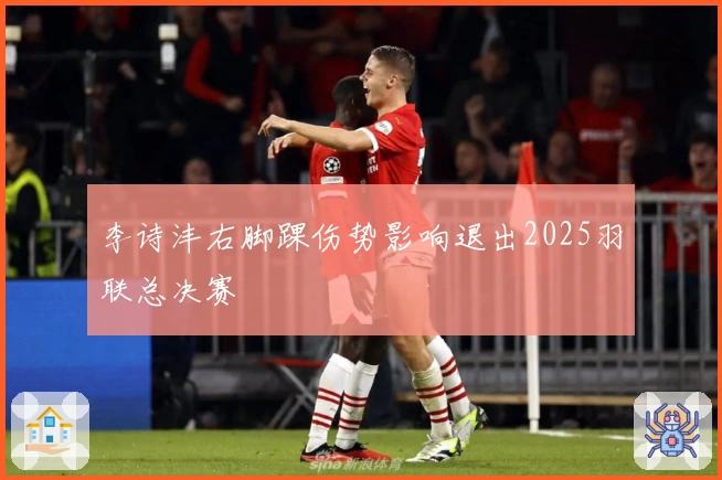 李诗沣右脚踝伤势影响退出2025羽联总决赛
