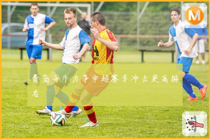青岛海牛力争中超赛季冲击更高排名