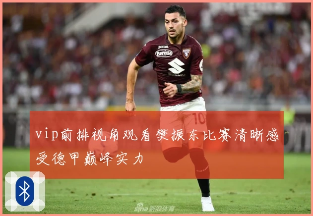 vip前排视角观看樊振东比赛清晰感受德甲巅峰实力