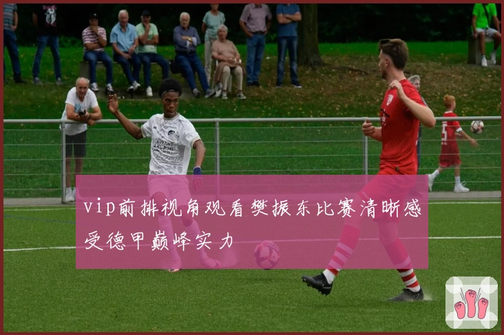 vip前排视角观看樊振东比赛清晰感受德甲巅峰实力